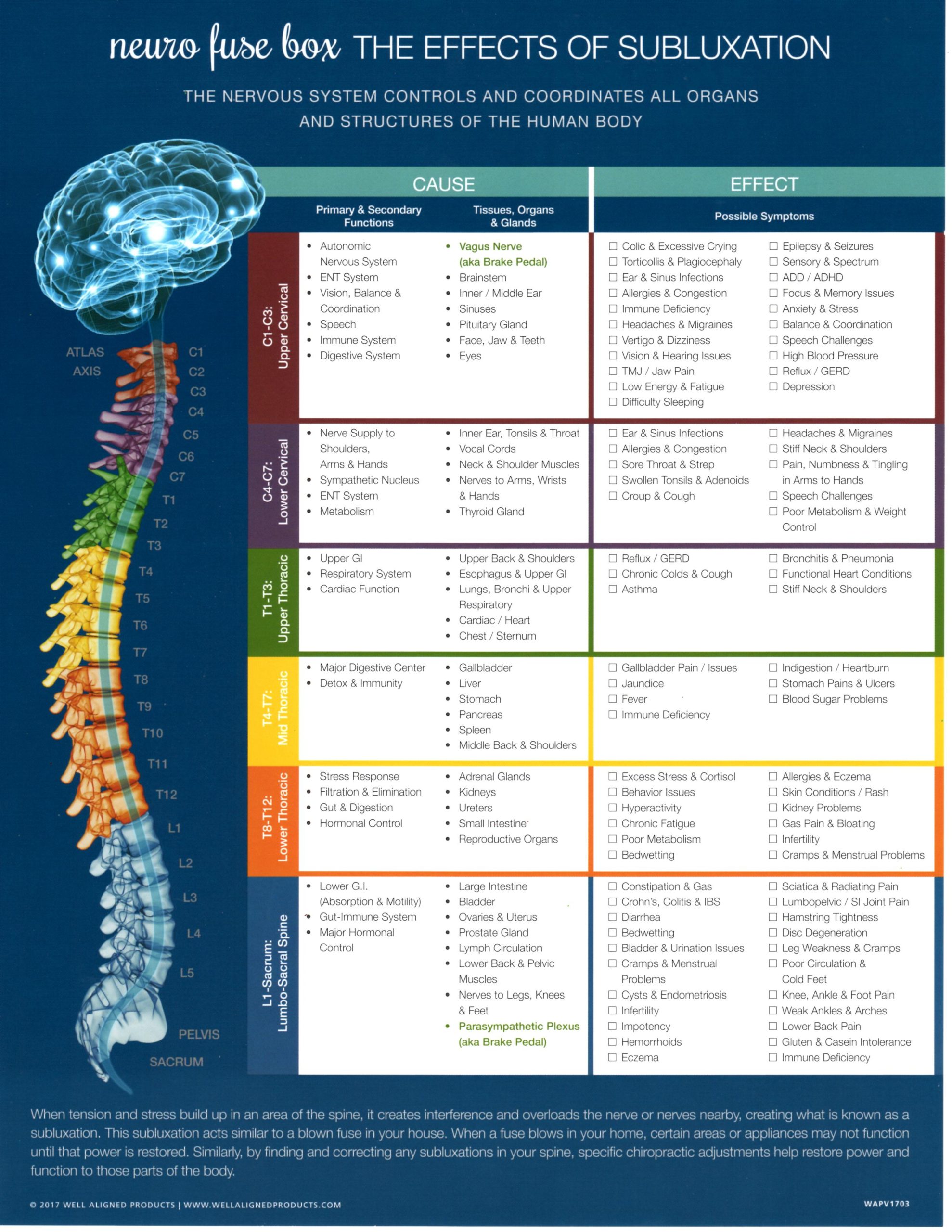 Show Yo Spine Some Love! - Compass Chiropractic | Opelika, Alabama ...